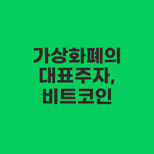 가상화폐의 대표주자, 비트코인